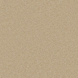 Bliss Deep Pile Carpet