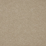 Beautiful Breeze Carpet