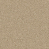 Beautiful Breeze Carpet
