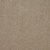 Beautiful Breeze Carpet