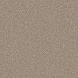 Beautiful Breeze Carpet