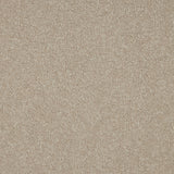 Beautiful Breeze Carpet