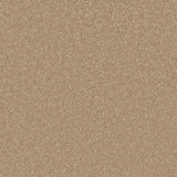 Beautiful Breeze Carpet