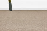 Burlington Dense Twist Carpet