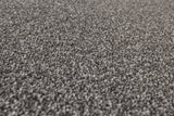 Burlington Dense Twist Carpet