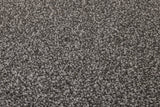 Burlington Dense Twist Carpet