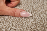 Burlington Dense Twist Carpet