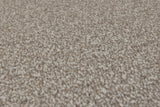 Burlington Dense Twist Carpet