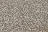 Burlington Dense Twist Carpet