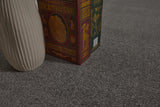Burlington Dense Twist Carpet