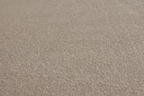 Burlington Dense Twist Carpet