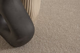 Burlington Dense Twist Carpet