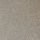 Burlington Dense Twist Carpet
