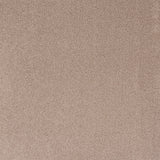 Burlington Dense Twist Carpet