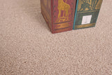 Burlington Dense Twist Carpet