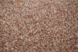 Caesar Saxony Carpet