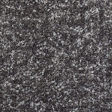 Caesar Saxony Carpet