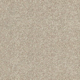 Caesar Saxony Carpet