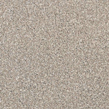 Caesar Saxony Carpet