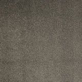 Calypso Saxony Carpet