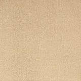 Calypso Saxony Carpet