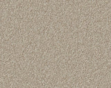 Linwood Twist Carpet