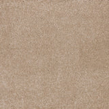 Dreamy Delight Carpet