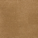 Dreamy Delight Carpet