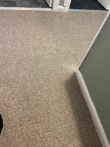 Flora Loop Carpet