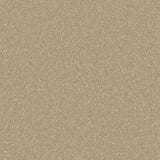 Fulton Luxury Saxony Carpet