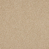 Euphoria Saxony Carpet