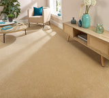 StainFree Twist Carpet