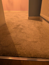 Juliet Soft Twist Carpet