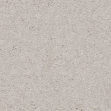 Knightlife Saxony Carpet