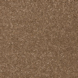 Knightlife Saxony Carpet