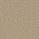 Lincoln 10th Gauge Carpet