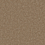 Lincoln 10th Gauge Carpet