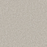 Lincoln 10th Gauge Carpet
