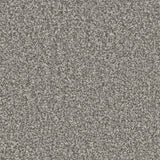 Lincoln 10th Gauge Carpet