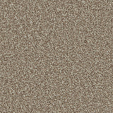 Lincoln 10th Gauge Carpet
