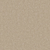 Lincoln 10th Gauge Carpet
