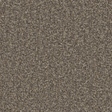 Lincoln 10th Gauge Carpet