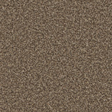 Lincoln 10th Gauge Carpet