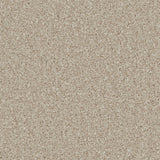 Lincoln 10th Gauge Carpet