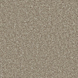 Lincoln 10th Gauge Carpet