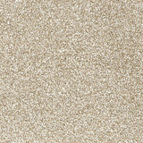 Malibu Plush Polyester Carpet