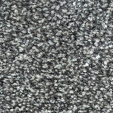 Mayfair Saxony Carpet