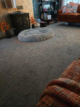 Melody Twist Carpet