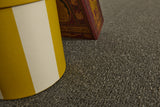 Melody Twist Carpet