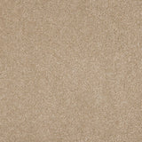 Euphoria Saxony Carpet
